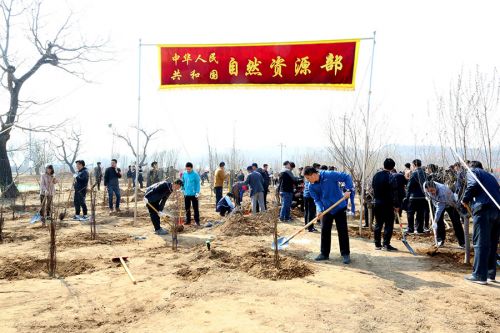 自然資源部開展義務植樹活動