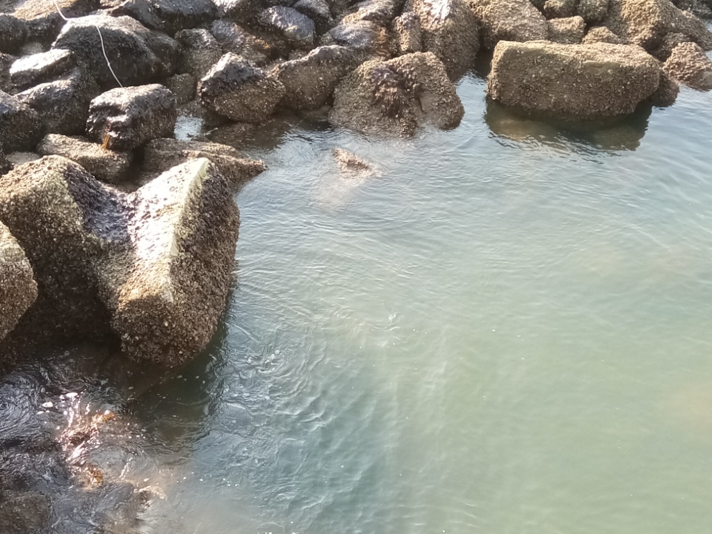 2018年5月出海記錄(HYPACK、SES2000、Klein3000)