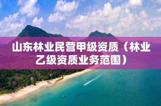 山東林業民營甲級資質（林業乙級資質業務范圍）