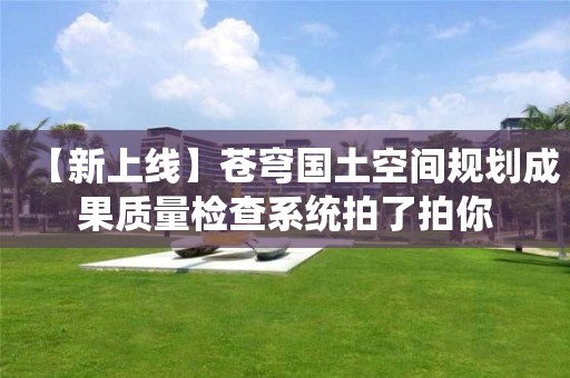 【新上線】蒼穹國土空間規(guī)劃成果質(zhì)量檢查系統(tǒng)拍了拍你