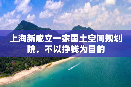 上海新成立一家國土空間規劃院，不以掙錢為目的