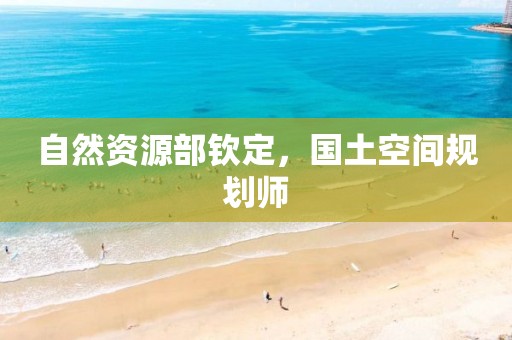 自然資源部欽定，國土空間規劃師