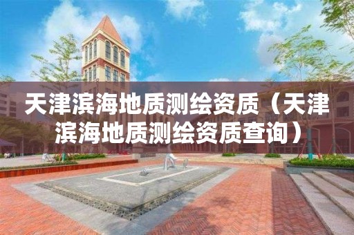 天津?yàn)I海地質(zhì)測(cè)繪資質(zhì)（天津?yàn)I海地質(zhì)測(cè)繪資質(zhì)查詢）