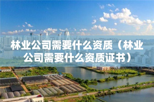 林業(yè)公司需要什么資質(zhì)（林業(yè)公司需要什么資質(zhì)證書）