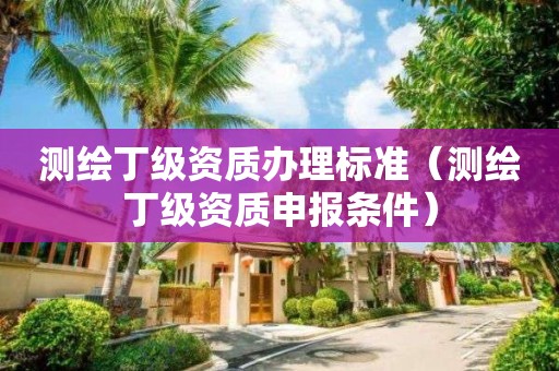 測(cè)繪丁級(jí)資質(zhì)辦理標(biāo)準(zhǔn)（測(cè)繪丁級(jí)資質(zhì)申報(bào)條件）