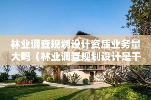 林業調查規劃設計資質業務量大嗎（林業調查規劃設計是干什么的）