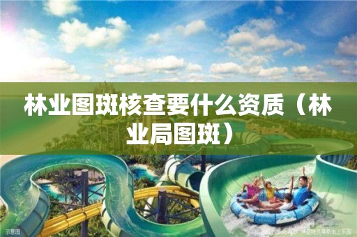 林業圖斑核查要什么資質（林業局圖斑）