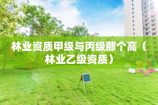 林業資質甲級與丙級那個高（林業乙級資質）