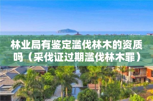林業局有鑒定濫伐林木的資質嗎（采伐證過期濫伐林木罪）