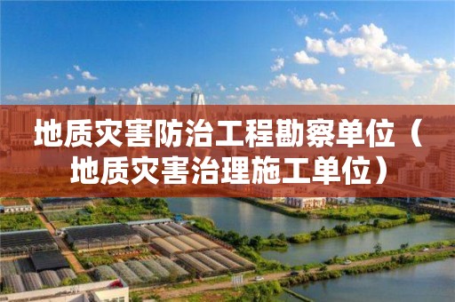 地質(zhì)災(zāi)害防治工程勘察單位（地質(zhì)災(zāi)害治理施工單位）