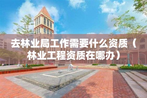 去林業局工作需要什么資質（林業工程資質在哪辦）