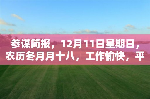 參謀簡報，12月11日星期日，農歷冬月月十八，工作愉快，平安喜樂