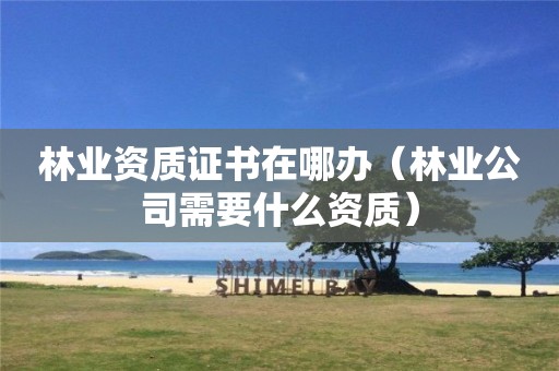 林業資質證書在哪辦（林業公司需要什么資質）
