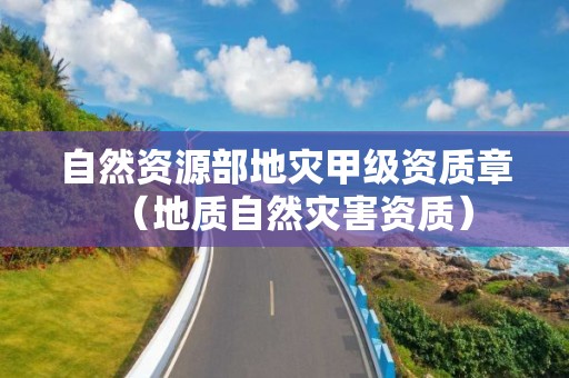 自然資源部地災(zāi)甲級資質(zhì)章（地質(zhì)自然災(zāi)害資質(zhì)）