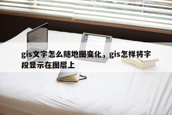 gis文字怎么隨地圖變化，gis怎樣將字段顯示在圖層上