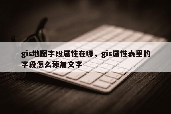 gis地圖字段屬性在哪，gis屬性表里的字段怎么添加文字